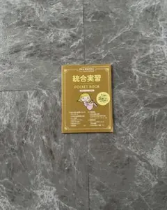 統合実習 ポケットブック プチナース 付録