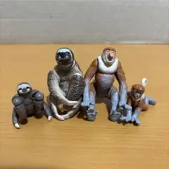 うっちん様専用　アニア　ナマケモノと子ども＆テングザルと子ども【図鑑カードつき】