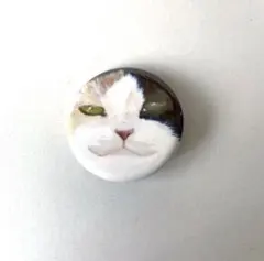 ピンバッチ キャラクターグッズ