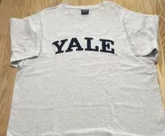 yale Tシャツ