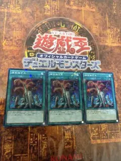 遊戯王 捕食接ぎ木 ノーパラ3枚