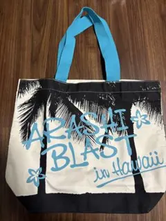 Item thumbnail for item 8305a42c-c31e-4313-b8df-eaabd4ef15f6