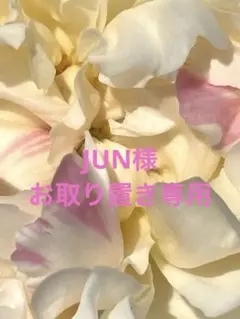 JUN様専用 トイレットペーパーホルダーカバー　ハワイアン雑貨　ハンドメイド