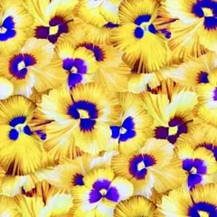 Item thumbnail for item f69bfb9e-dd9c-4e1d-97e4-95ef417e7f04