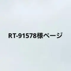 RT-91578様ページ