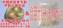 金運爆上げ 起死回生！逆境を跳ね返す！特別御守り護符 奈良石上神社
