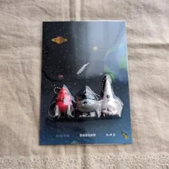 NEWS　EPCOTIA　カイ　コタ　ボンセン　キーホルダー　増田貴久