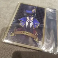 即購入◎ツイステッドワンダーランド　マグネット