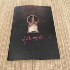 ソンスンホン　韓国映画　秘顔　パンフレット