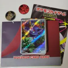 포켓몬 カード ゾロア ゾロアークスターターセット ゾロアAR