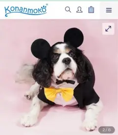 ディズニー　タキシードコスチュームMサイズ