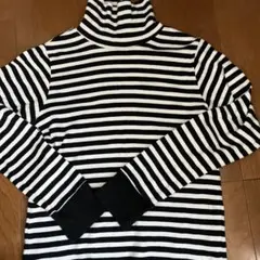 ボーダータートル