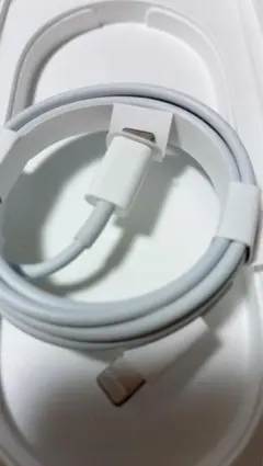 Apple Lightningケーブル ホワイト