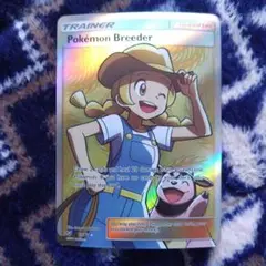 【SPA10】ポケモンブリーダー SR SM3+ ひかる伝説 077/072 PSA10】ポケモンブリーダー SR 077/072の通販 さち（1991811934