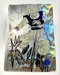 APT-004 孫悟空　パラレル