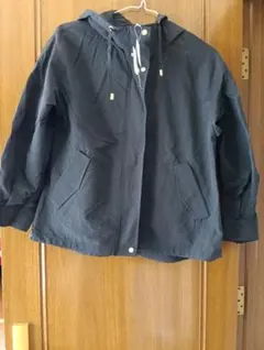 Item thumbnail for item 17522d8c-985e-40a3-a842-437779b874b2