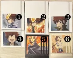 家庭教師ヒットマンREBORN ぱしゃこれ 5弾 6弾 沢田綱吉 綱吉 超ツナ