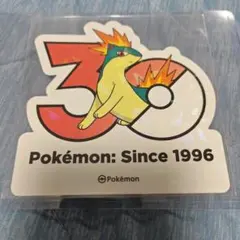 【韓国限定】 ポケモン 30周年記念 ステッカー マグマラシのサムネイル