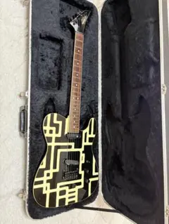 2026年最新】Fernandes mg ハードケースの人気アイテム - メルカリ