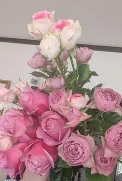 まつのり様 リクエスト 3点 まとめ商品 同梱包引き