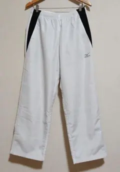 Item thumbnail for item 726d1dfd-d081-4845-a690-760b595d6318