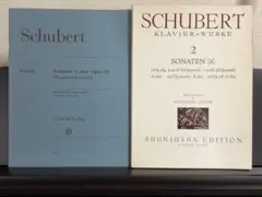 Item thumbnail for item 91c19e19-f5c2-45b2-a597-88a6cb2ea713