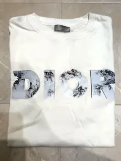 DIOR Tシャツ　ダニエルアーシャムのサムネイル