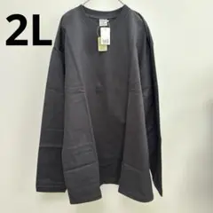 Item thumbnail for item a4ac5448-dd69-4e33-8762-f29797d8b757