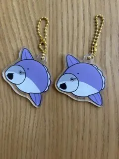 Item thumbnail for item 6ec7d6c1-7db6-4252-8243-75a1597f6309