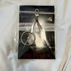 【2/1会場限定】INFINITY MOON Metal Key Charm