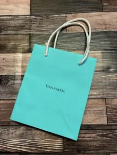 TIFFANY & Co. ティファニー ショッパー 紙袋 ショップバッグのサムネイル