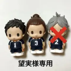 ハイキュー ぱぺマス「望実様専用」