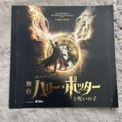 舞台ハリーポッターと呪いの子　パンフレット