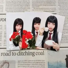 TWICE〜MISAMO HAUTECOUTURE 單人盤