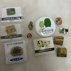 2025年最新】愛地球博 ピンバッジの人気アイテム - メルカリ