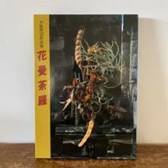 Item thumbnail for item 22b86839-1f47-464a-b3e7-7cdde8afaafe