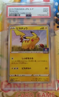 PSA9 피카츄 ジムプロモ PROMO 024/S-P1②