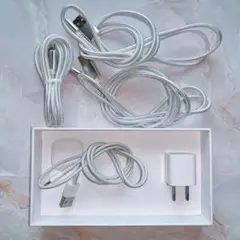Apple ライトニングケーブル タイプC 充電器 純正品と非正規品