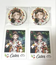 ツイステ展 ケイト 缶バッジ ランダムカード 4点セット