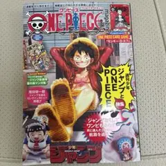 【雑誌のみ】 ワンピースマガジン 20号 ONE PIECE magazine