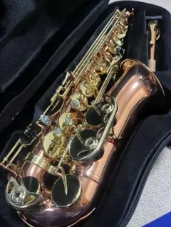 roadmaster　金色 サックス本体 ハードケース付き サックス | セントラル楽器 オンラインショップ