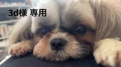 3d様専用 FF＆ポケモン