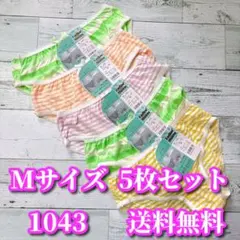 Mサイズ❤️5枚セット まとめ売り ボーダー柄 レディース ショーツ 1043のサムネイル