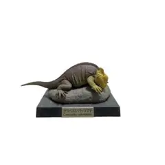 レプタイルズラウンジ/現世の恐竜たち ガラパゴスリクイグアナ 海洋堂フィギュア.