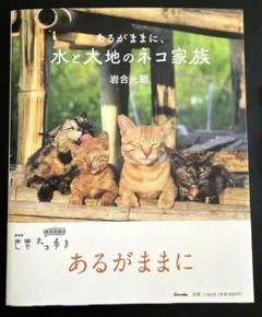 ビジュアルと動画でわかる!犬と猫の腹部超音波の描出レッスン Makiさん