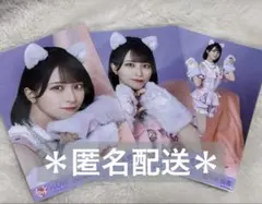 佐々木舞香 生写真 コンプ 猫衣装 7周年 - メルカリ