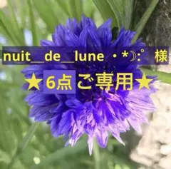 nuit＿de＿lune ・*☽:゜様 ★6点ご専用ページ★説明文ご覧下さいませ