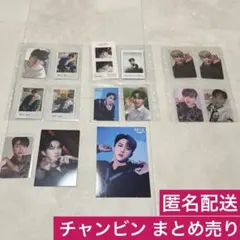 StrayKids スキズ チャンビン トレカ まとめ売り