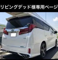 リビングデッド様専用ページ