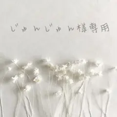 ❁﻿ じゅんじゅん様専用ページ❁﻿